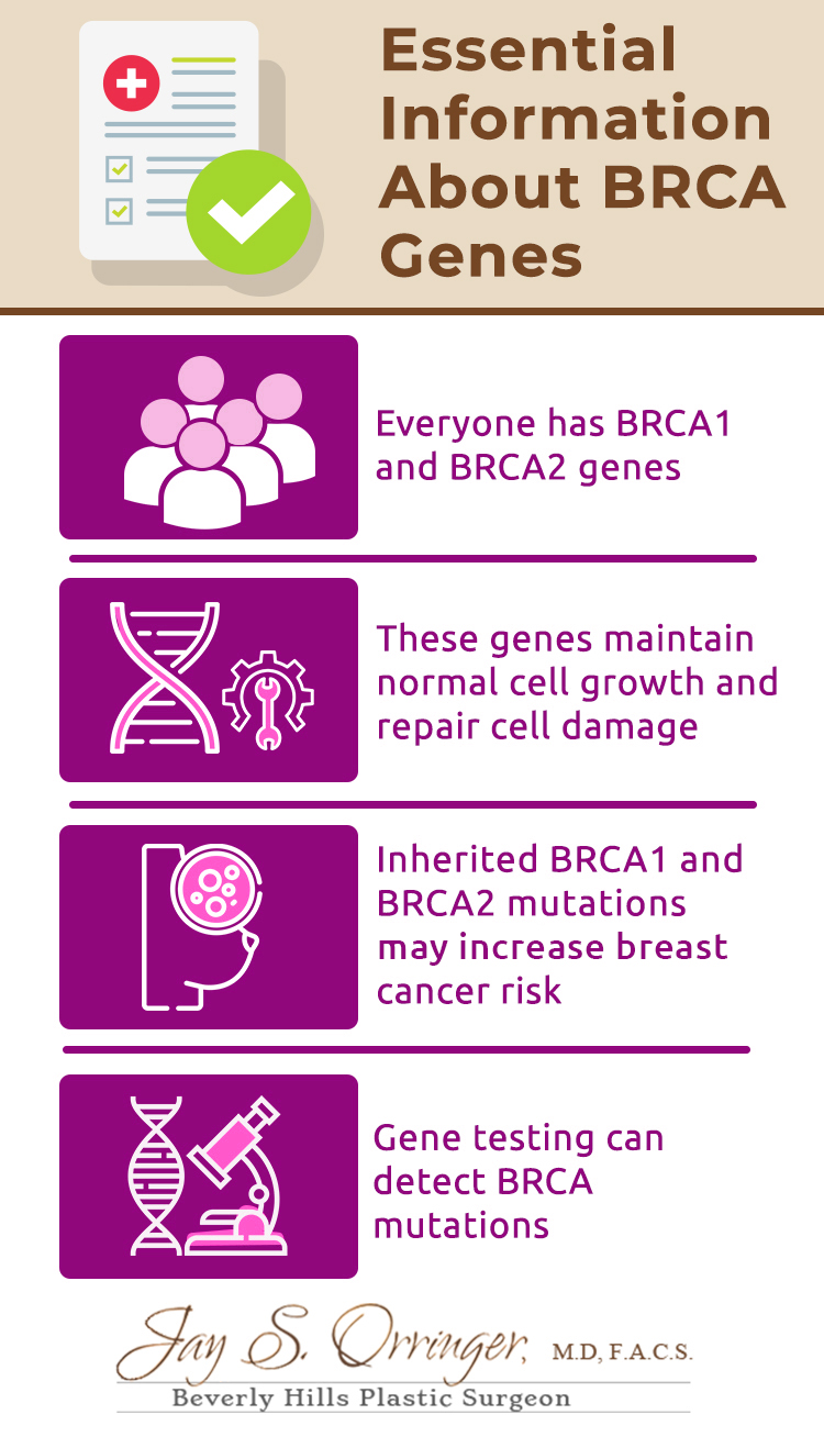 BRCA gene infographic 